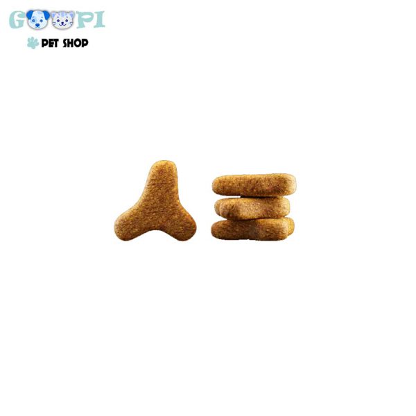 غذای-خشک-گربه-بالغ-با-طعم-ماهی-سالمون-10-کیلوگرمی-جوسرا-01